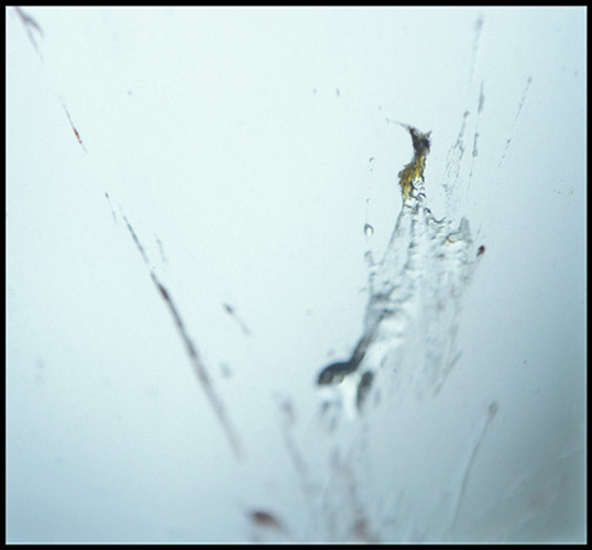 sudden_death_07